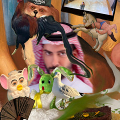 HABIBI (Hardgroove) -009 MIX