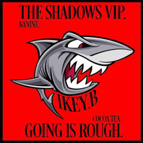 GOING IS ROUGH X SHADOWS // [VIP]