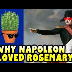 han.irl<3 & cosette - rosemary (gabe remix)