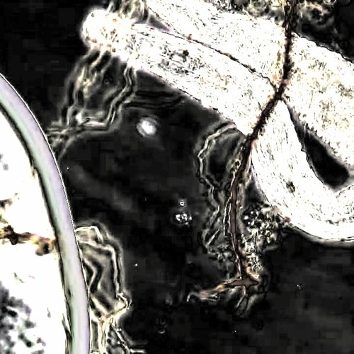 Synthetic Strings