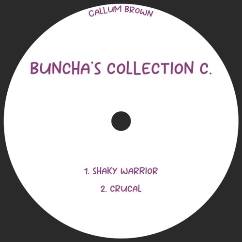 Shaky Warrior - Callum Brown
