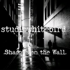 Shadows on the Wall
