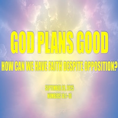 God Plans Good: How Can We Have Faith Despite Opposition? (Numbers 14) 9-28-2025