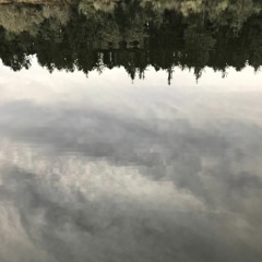 Porchlight (prod. BRENDA 1017)