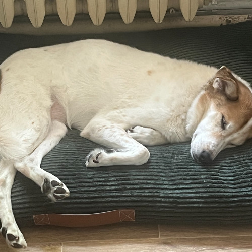 Track 25 Should be chilled maybe