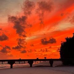 Guitarra en la playa ( Cruz cafune type beat)