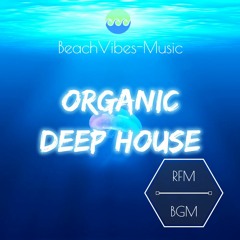 BeachVibes Music - Organic Deep House (Royalty Free Music)