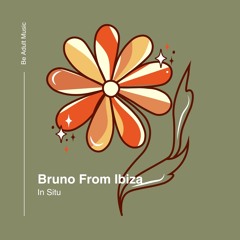 BRUNO FROM IBIZA - IN SITU