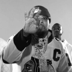 in the cabin (dr. birds)