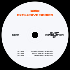 PREMIERE: Sepp - You Gotta Know