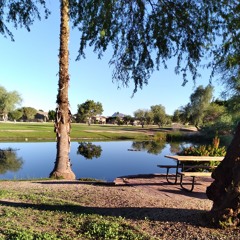 Carabandon- Chuck Townsend