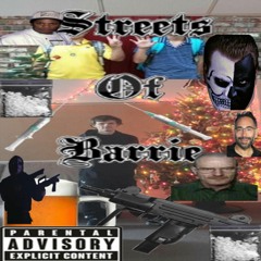 Streets Of Barrie Ft Barrie 5th Graders