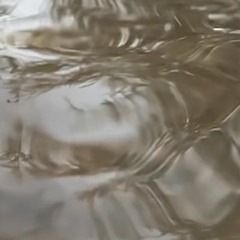 take-dat-dare (uncut)