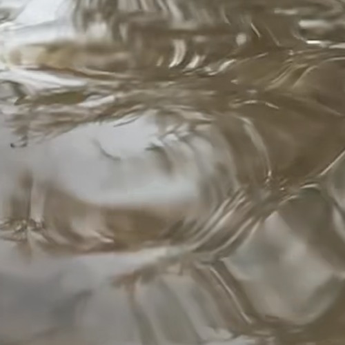 take-dat-dare (uncut)