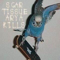 Scar Tissue - Arya Kills