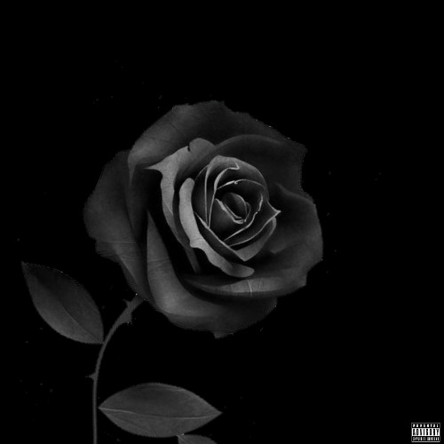 U & I Ft KØ