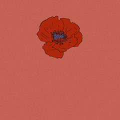 Waterlily in the wind