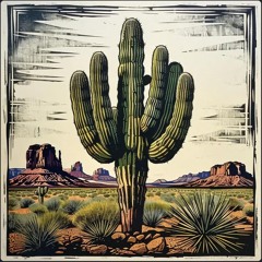 Baaz Mano Kaashti Raafti