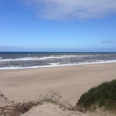Project Vaygar - West Jutland (My Home)