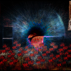 You're Just Like a Flower (fix)