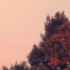 Maybe I'll See You Again