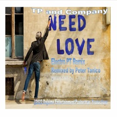 TP and Company - Need Love Electro PT Remix