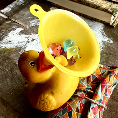 kleinerMann - Ente gefüllt mit Erpel (25-09-07)