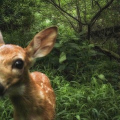 Patterns w/linked winters
