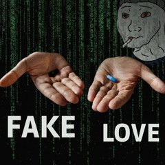 You’ve Been Lied To About Love! (The Red Pill Truth)