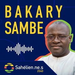 Bakary Sambe - Directeur du Timbuktu Institute-African Center for Peace Studies