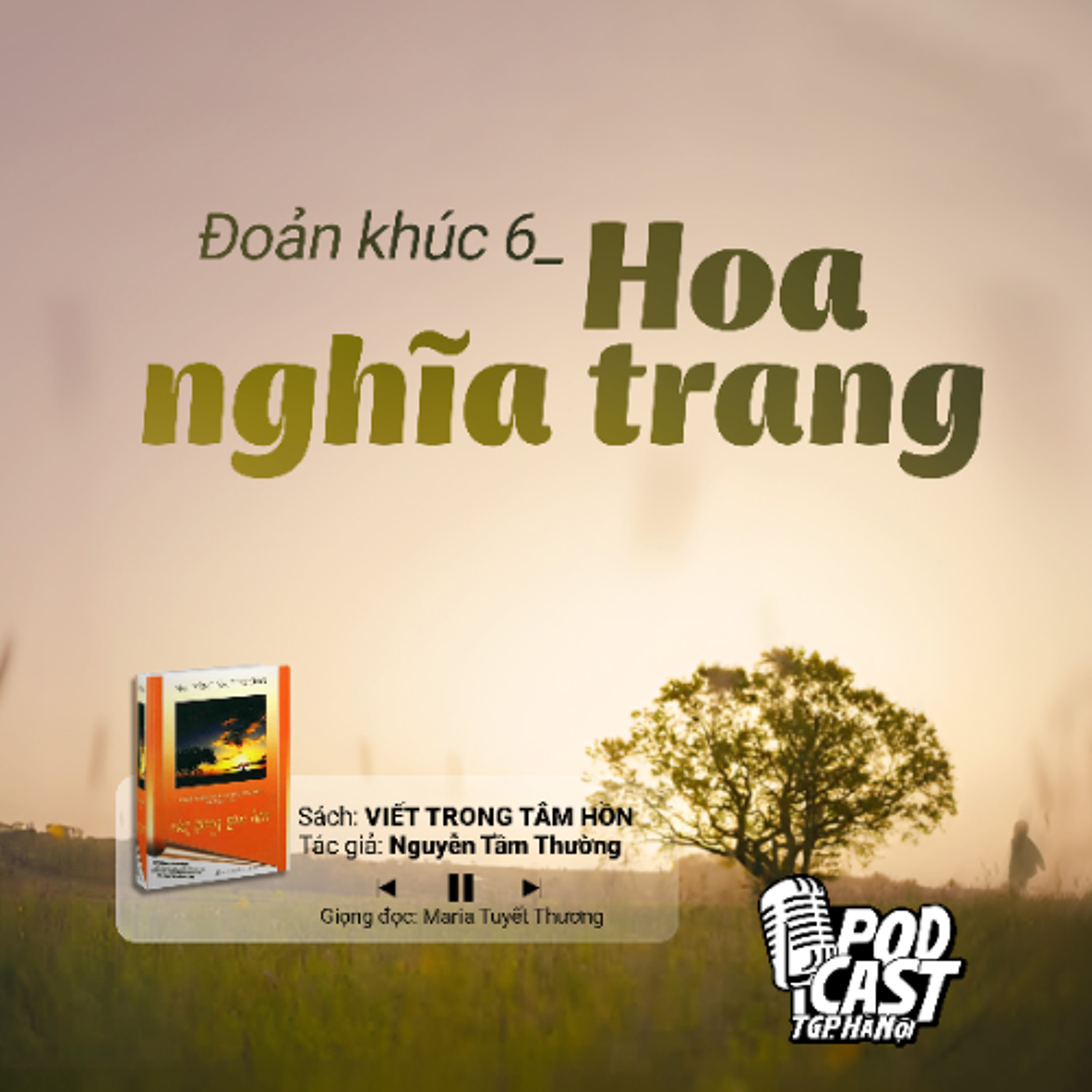 ĐK6: Hoa nghĩa trang (Tg. Nguyễn Tầm Thường) || Viết trong tâm hồn