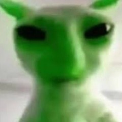 I am an alien , my rocket ship is human bone and skin !