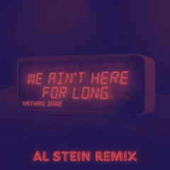 We Ain't Here For Long (Al Stein Remix)