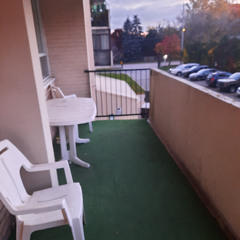 The Godslayer's Triumph (5)