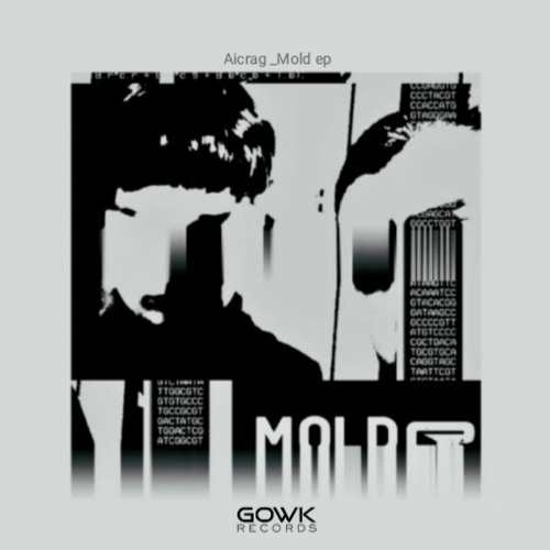 [PREMIERE] | Aicrag - Mold [GOWK004]