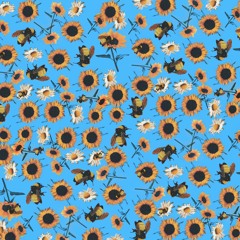 No Sunshine Without you