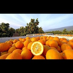 Larry June Type Beat 2026 - Smooth Player (prod.by east rock)