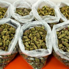 4 Pretty Huge Bags Of Majijuana