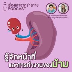 [EP9] รู้จักหน้าที่และการทำงานของม้าม