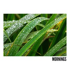 Mornings