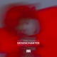 on Désenchantée (Mont Rouge Remix)