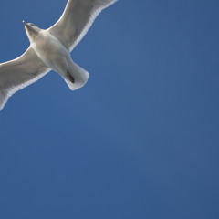 Turbulence