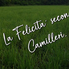 La Felicita'...Secondo Camilleri...