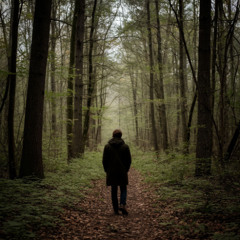 The Solitary Wanderer