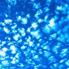 asian (prod. shingan)