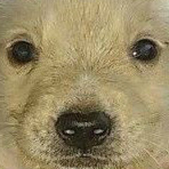 frickin packet blend