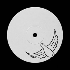 Y U QT & BULLET TOOTH - TECHNIQUE (CHARLIESAYS BOOTLEG)  [FULL TRACK IN DL]