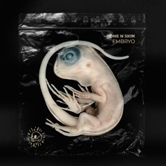 Embryo