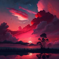 The Night Sky Above