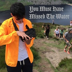 You Must Have Missed The Water (D/L)